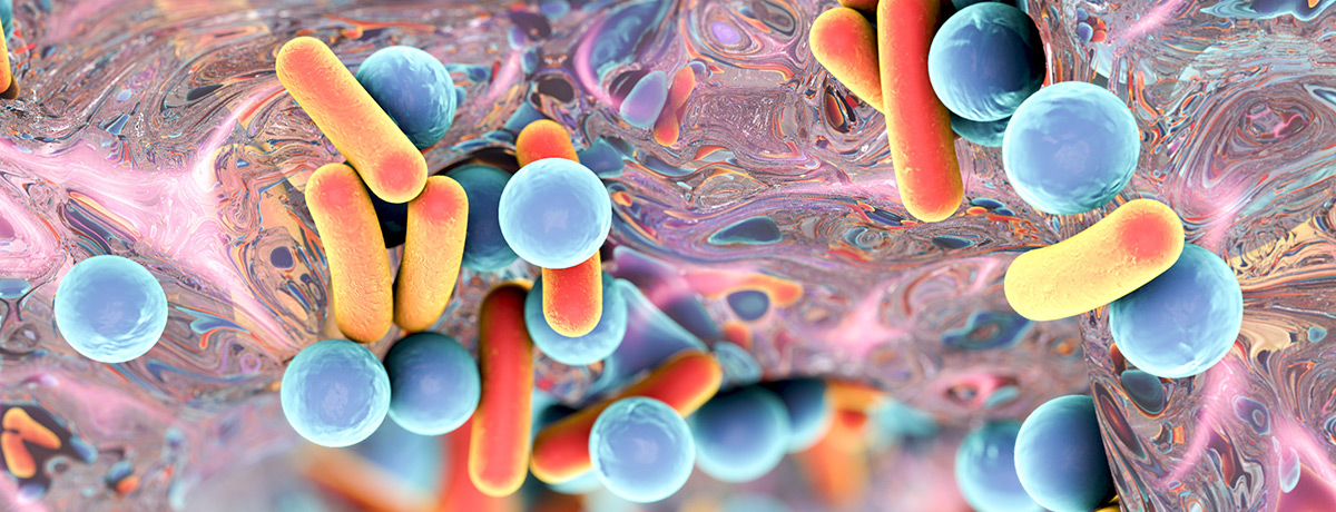 Biofilm - antimicrobial resistance (amr)