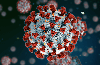 COVID-19 molecule