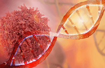 Sequencing DNA