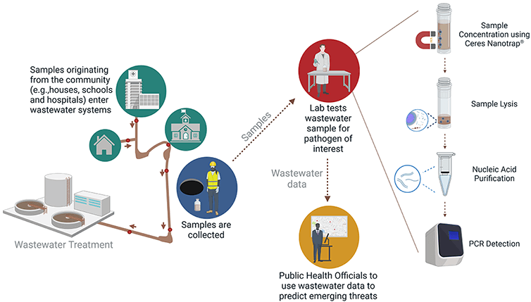 How wastewater surveillance works